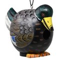 Bobbo Duck Mallard Gordo-O Bird House SE3880234